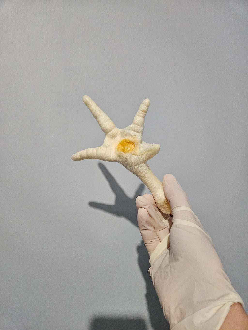 Patte de poulet soufflé