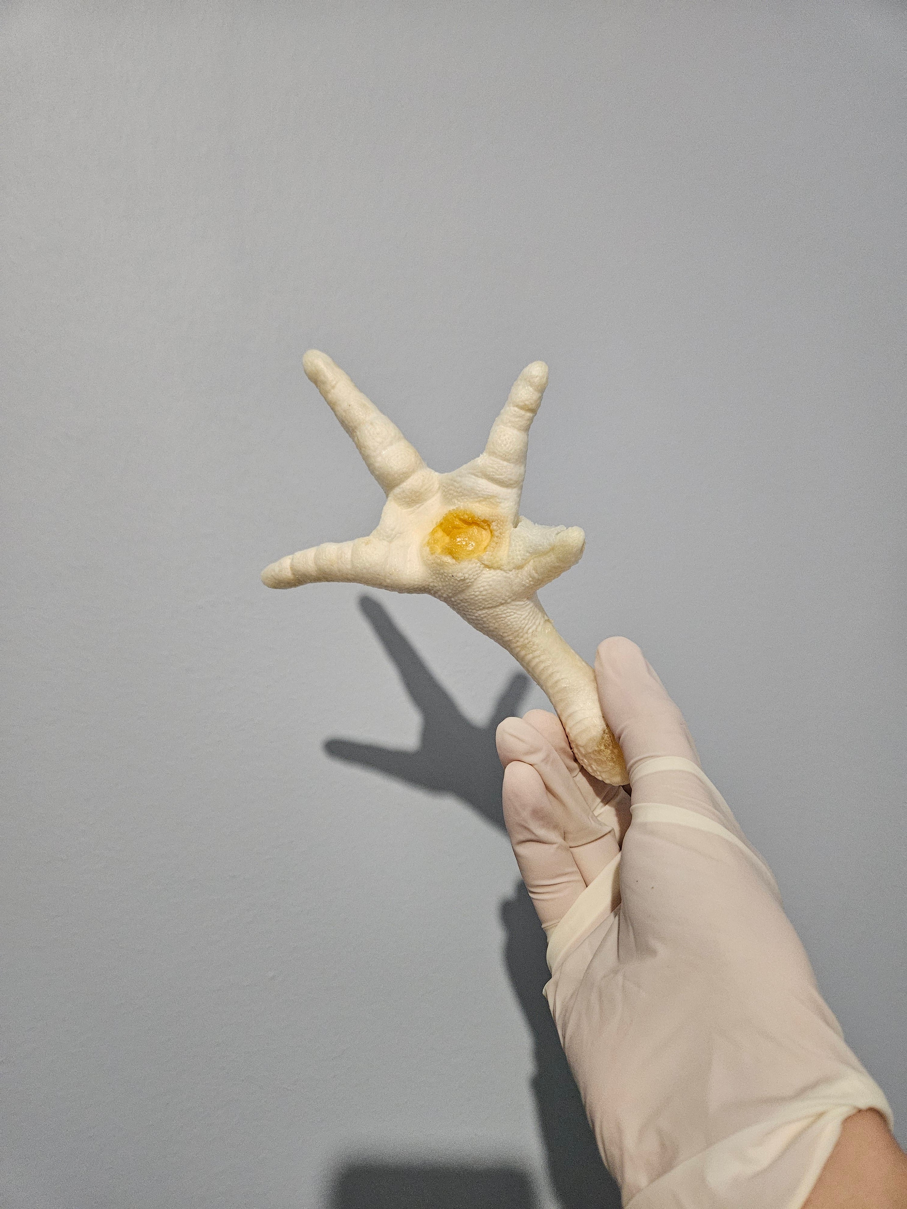 Patte de poulet soufflé