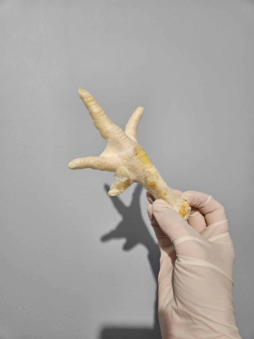 Patte de poulet soufflé