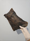 Plaque de cerf