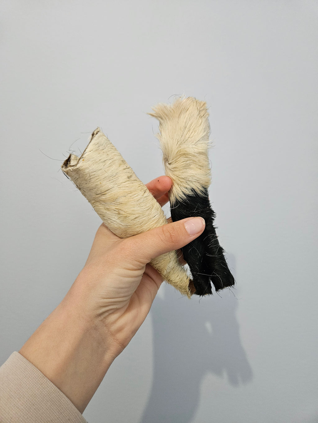 Peau de bœuf avec poils