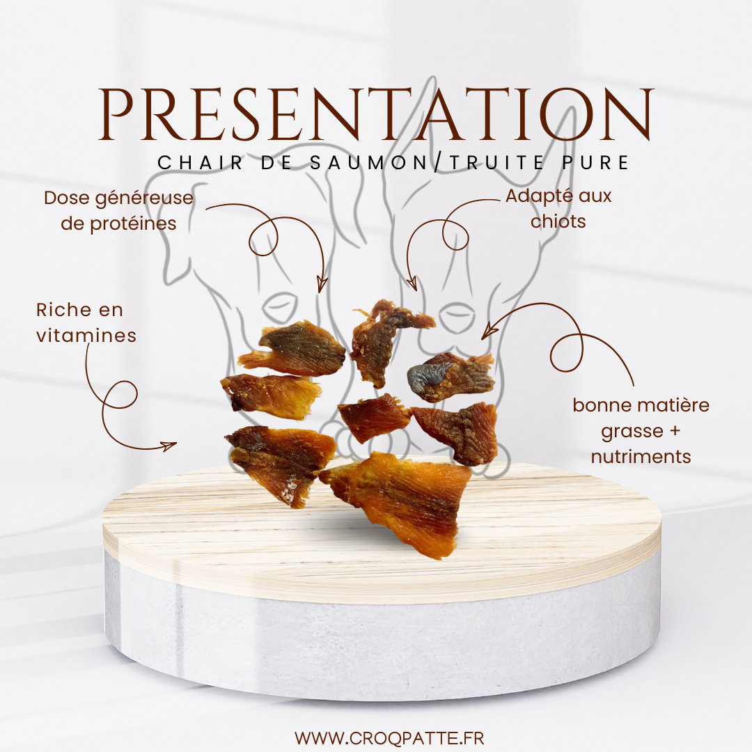 Chair de saumon/truite pure