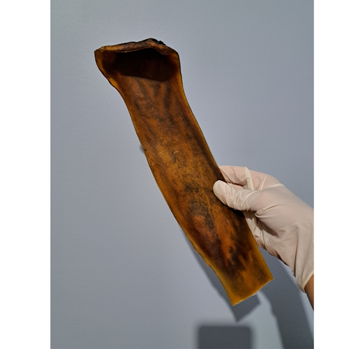 Cuire chevelu de bœuf 30cm