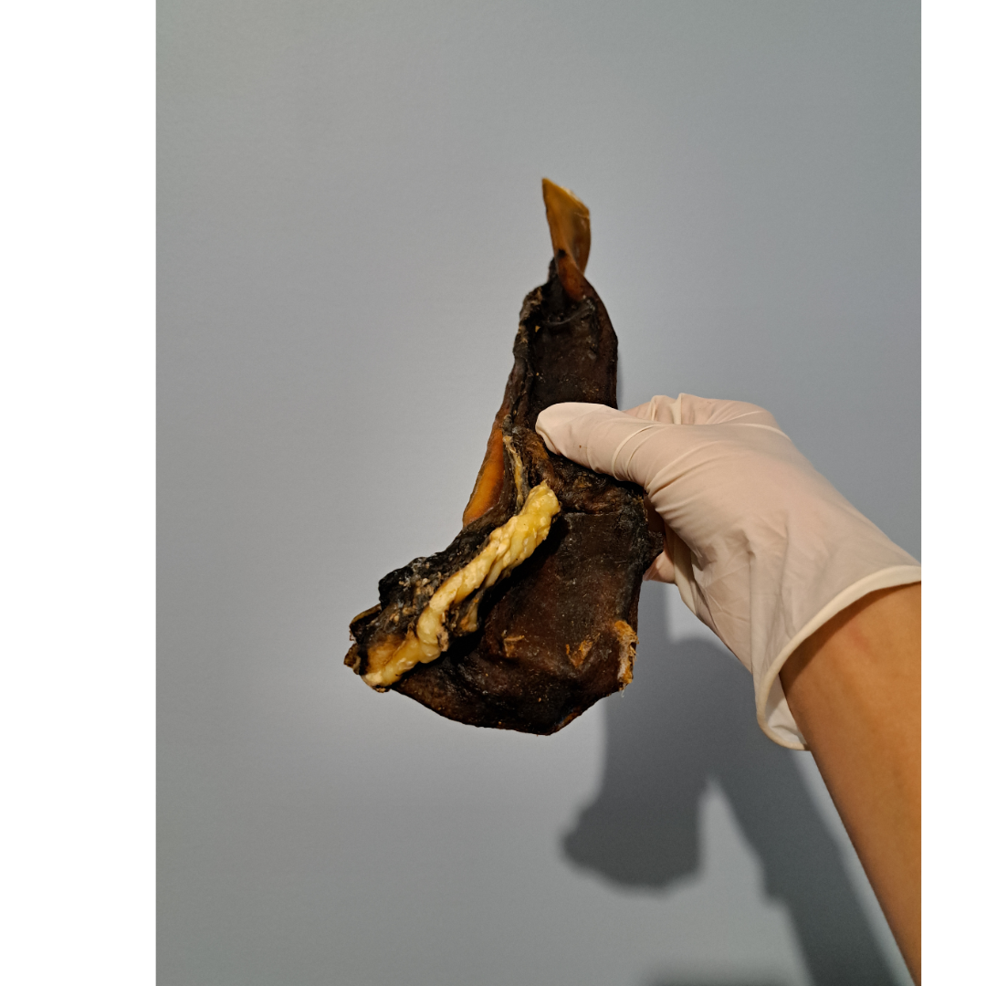 Cuire chevelu de bœuf 30cm