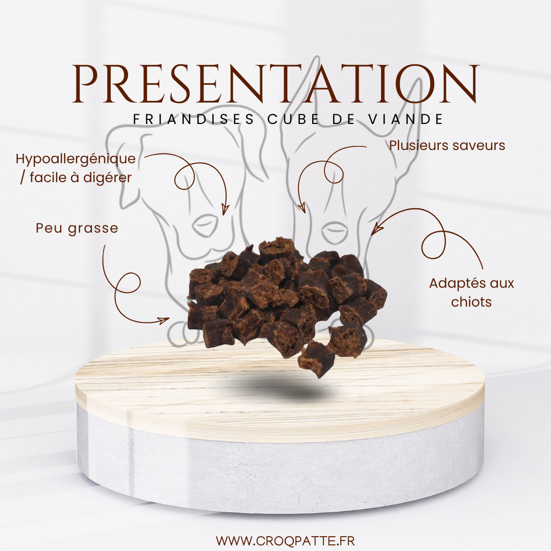 Friandises cube de viande