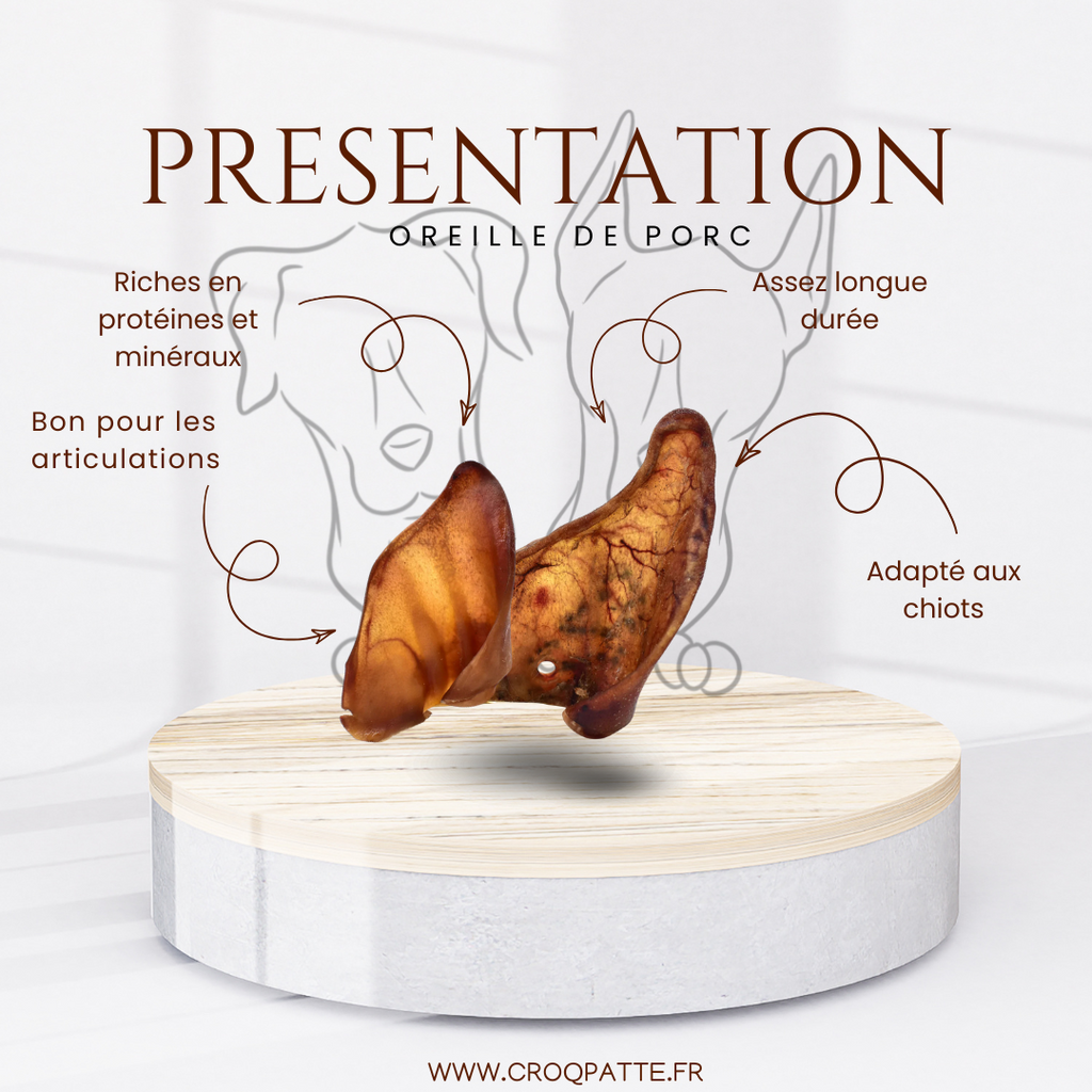 Oreille de porc