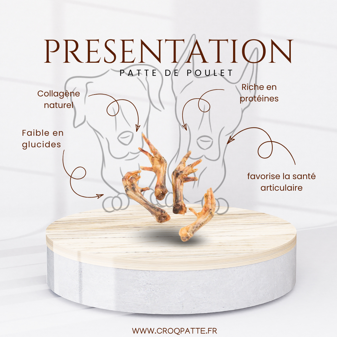 Patte de poulet