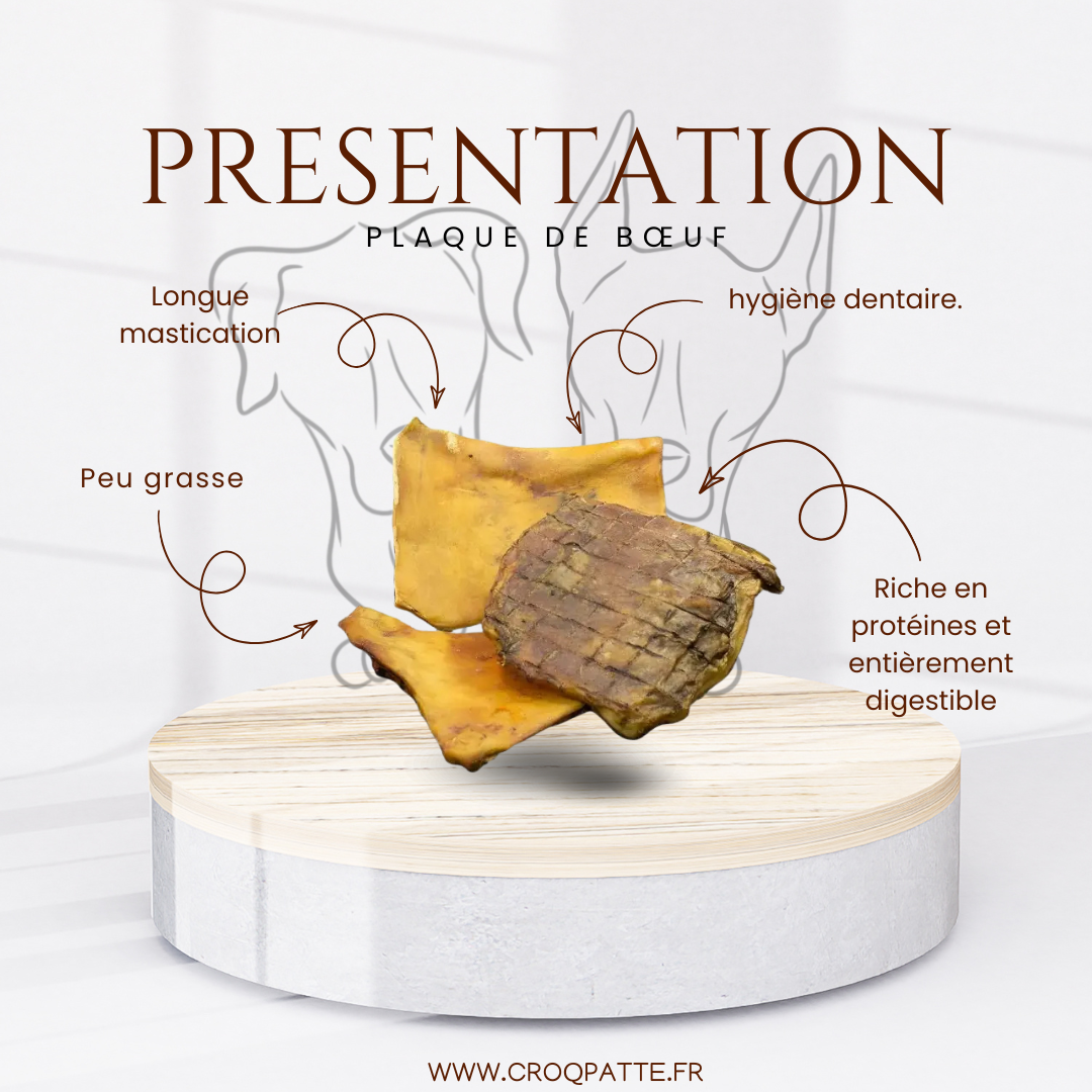 Plaque de bœuf