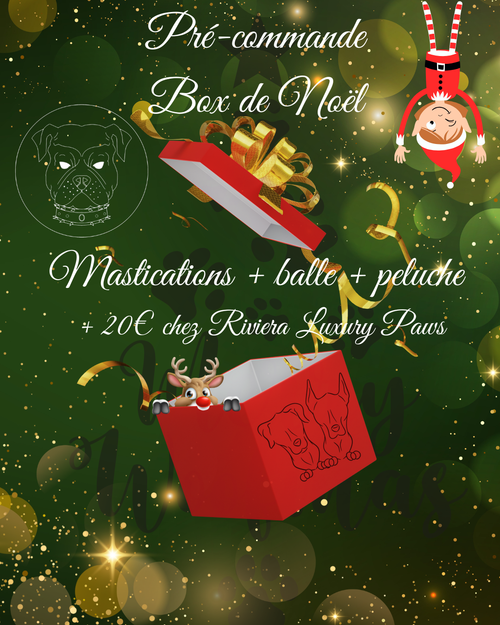Box de Noël 🎄en pré-commande