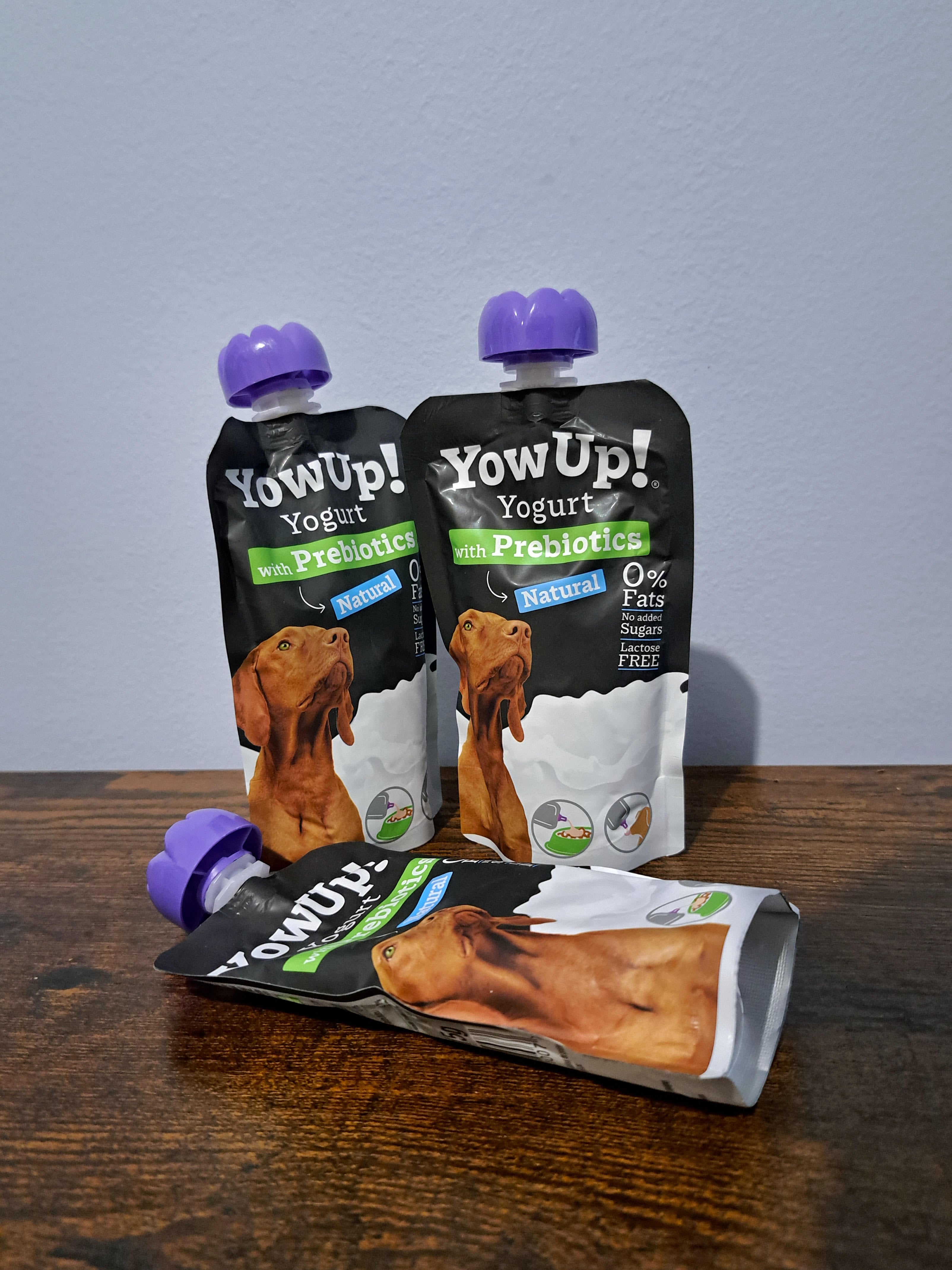 Yaourt Prébiotiques Naturels