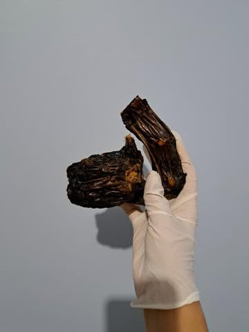 Cous d'autruche coupé