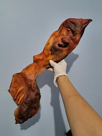 Museau de vache 40/80cm