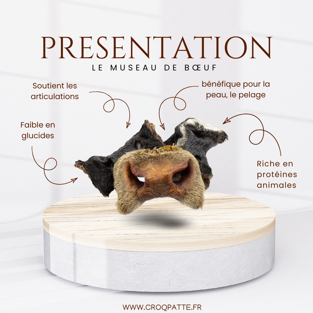 Museau de bœuf avec poils