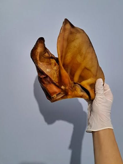 Oreille de porc