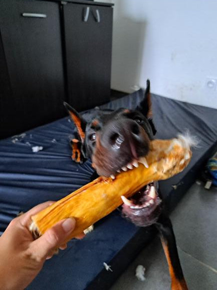 Peau de lapin